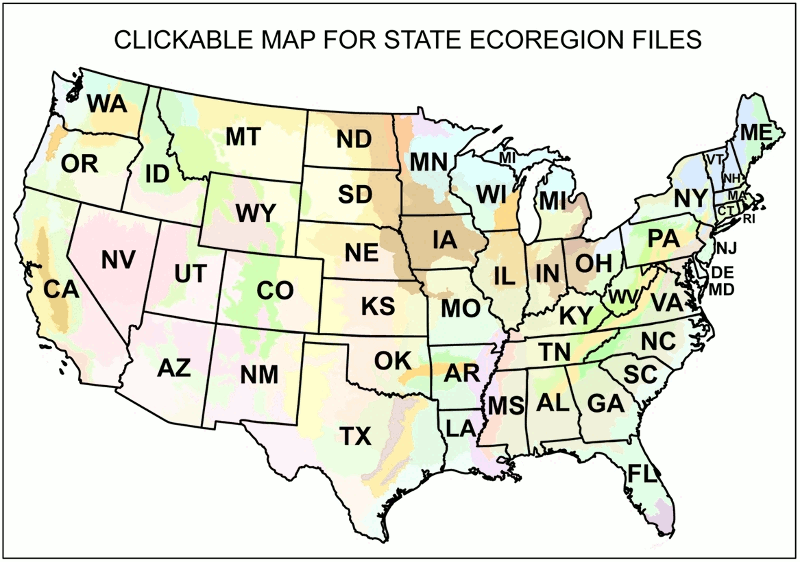 Ecoregions by US State