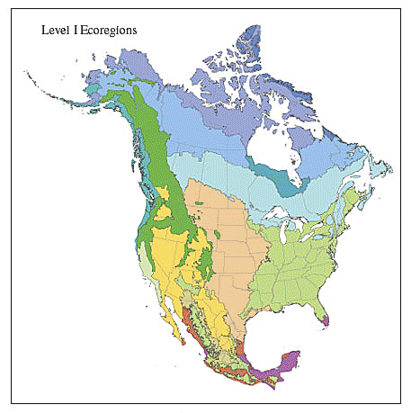 Ecoregions: Level I, II, III, and IV