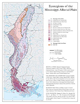 Level III and IV Ecoregions of the Mississippi Alluvial Plain