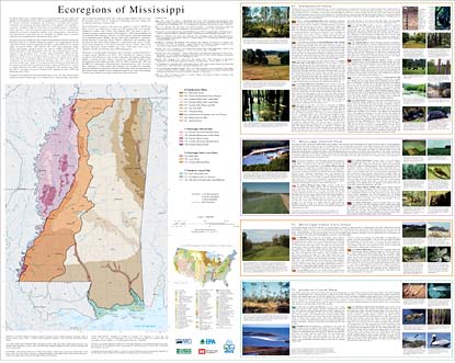 Ecoregions of Mississippi--poster front side