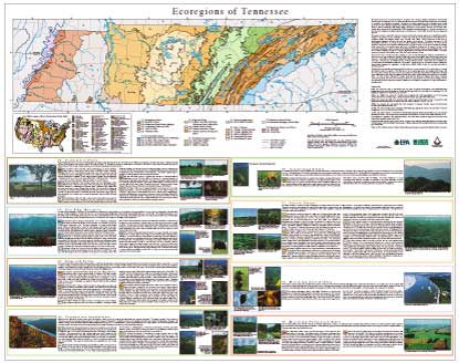 Ecoregions of Tennessee--poster front side